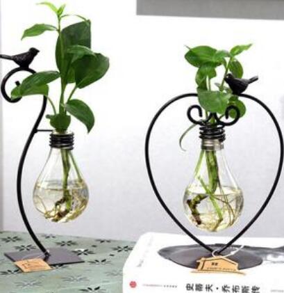 Indoor Hydroponic Plant Vessel