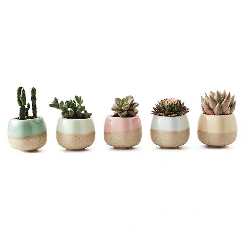 Succulent Thumb Pots