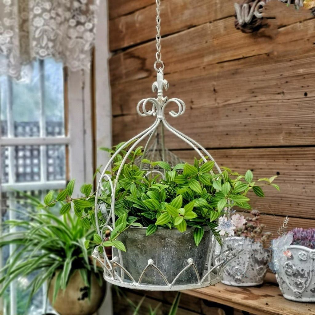 Wrought Iron Hanging Basket