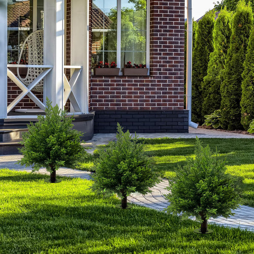 Bonsai Garden Decor
