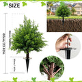 Bonsai Garden Decor
