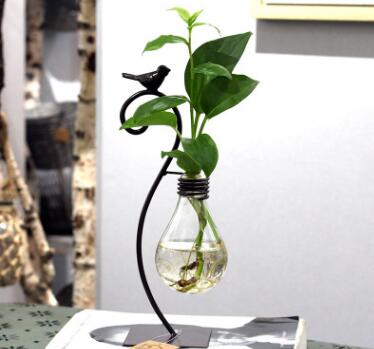 Indoor Hydroponic Plant Vessel