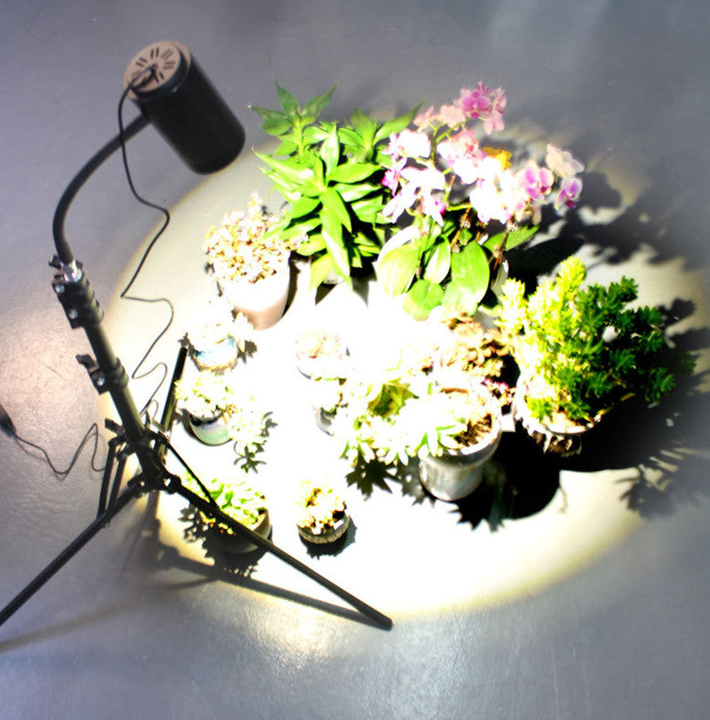 Plant Growth Lamp