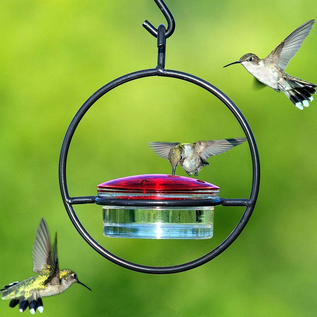 Hummingbird Feeder