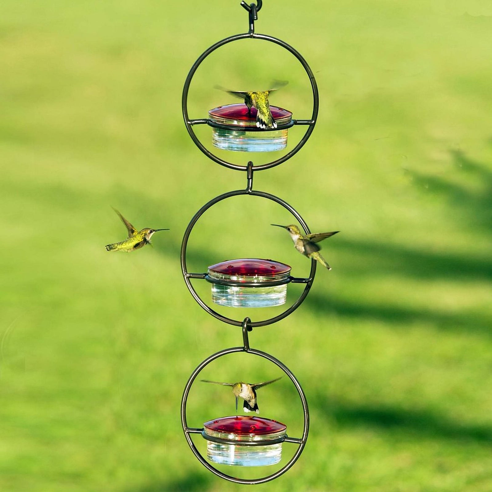 Hummingbird Feeder