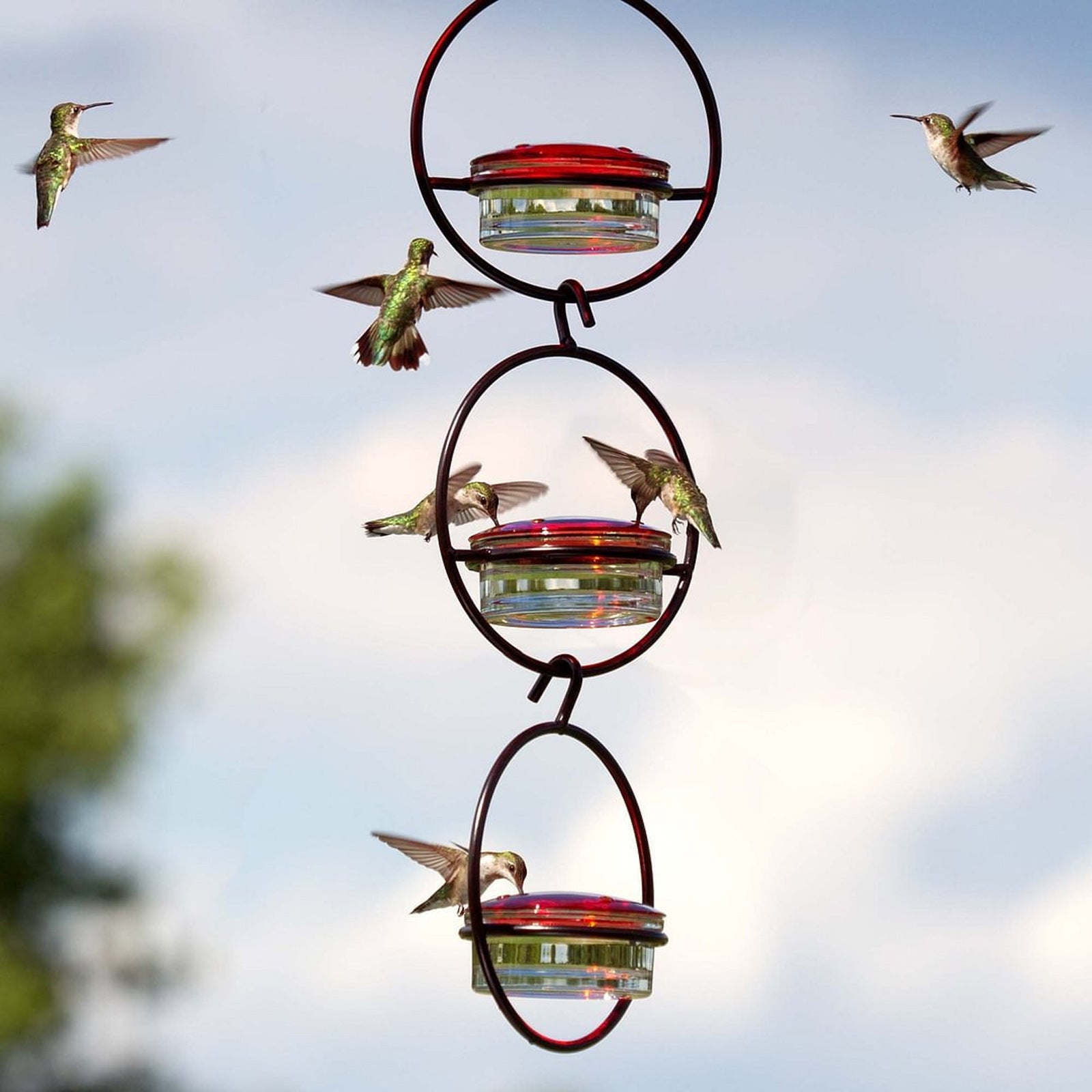 Hummingbird Feeder