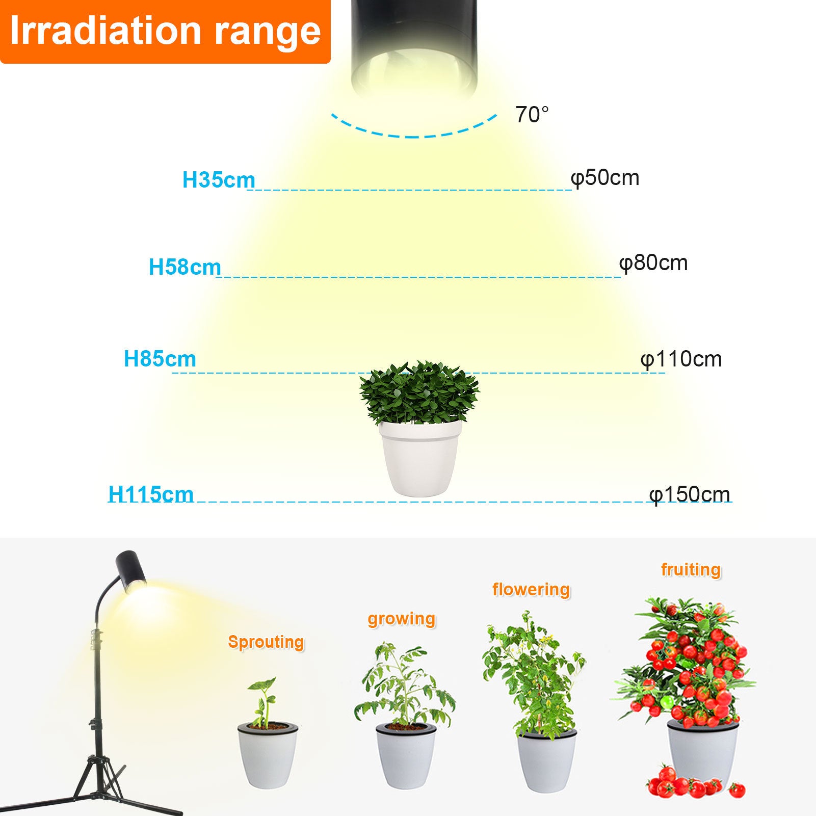 Plant Growth Lamp